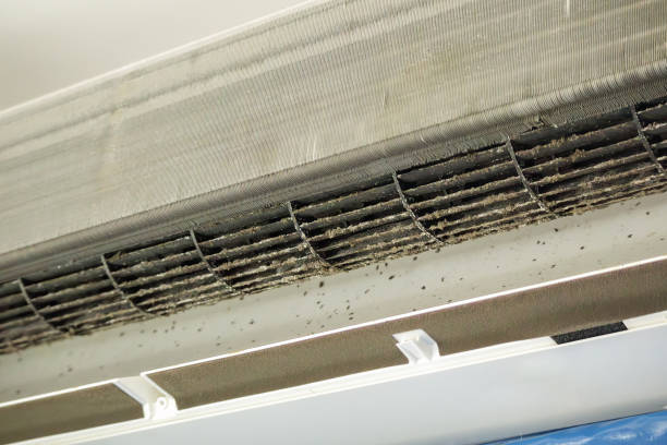 Best Home Air Vent Cleaning  in Fiskdale, MA